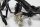 Cablaggio di accensione, connettore destro Aprilia RST 1000 Futura PW / RST1000 01-04
