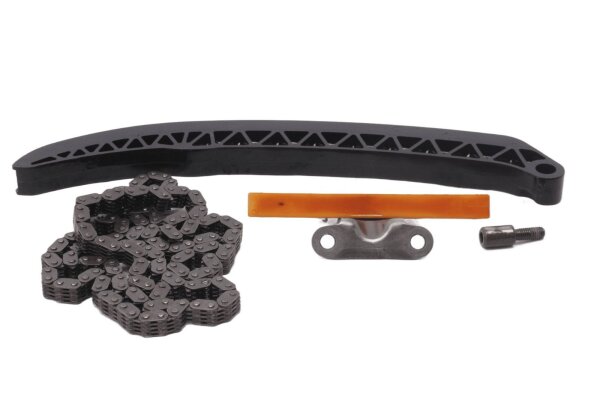 Timing chain, chain tensioner, guide, sliding rail BMW F 800 GS E8GS 0219 08-12