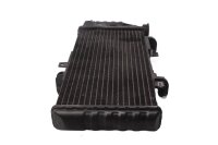 Water cooler bracket, engine cooling sensor, mesh housing BMW F 800 GS E8GS 0219 08-12