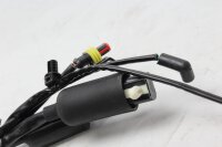 Hauptkabelbaum Elektrik Harley-Davidson Sportster 1203 XL1200C Custom 11-11