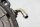 Clutch cover, engine cover 211 645 Aprilia RST 1000 Futura PW / RST1000 01-04
