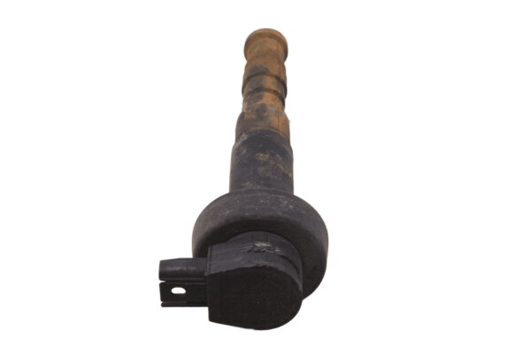Bobine, enkele bobine, insteekbobine BMW F 800 GS E8GS 0219 08-12