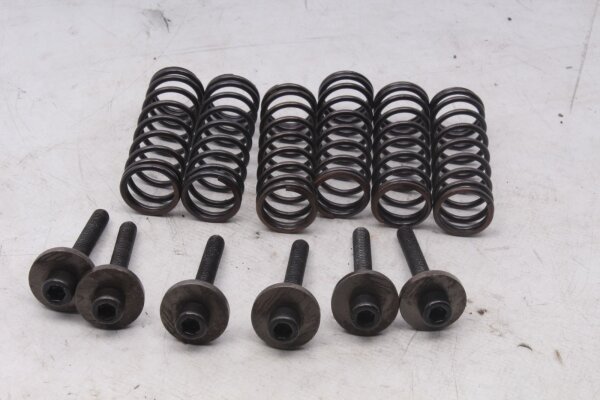 Kit de ressorts dembrayage, vis, plateau de pression BMW F 800 GS E8GS 0219 08-12