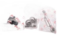 Trim mounting kit, complete screw set Ducati universell