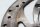 Bremsscheibe gelocht hinten 6-Loch Aprilia RST 1000 Futura PW / RST1000 01-04