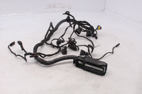 Wiring harness injection system injection cable BMW F 800 GS E8GS 0219 08-12