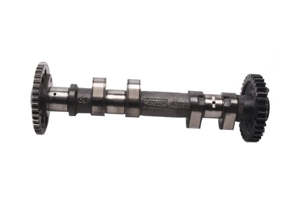 controllo dellingranaggio di azionamento dellalbero a camme aspirazione BMW F 800 GS E8GS 0219 08-12