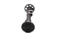 controllo dellingranaggio di azionamento dellalbero a camme aspirazione BMW F 800 GS E8GS 0219 08-12