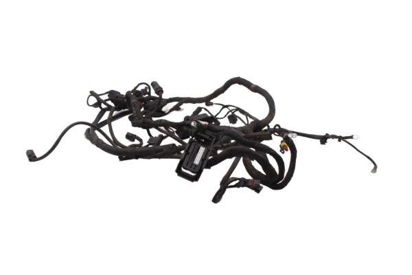 Main wiring harness, central wiring harness, electrical system BMW F 800 GS E8GS 0219 08-12