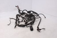 Main wiring harness, central wiring harness, electrical system BMW F 800 GS E8GS 0219 08-12