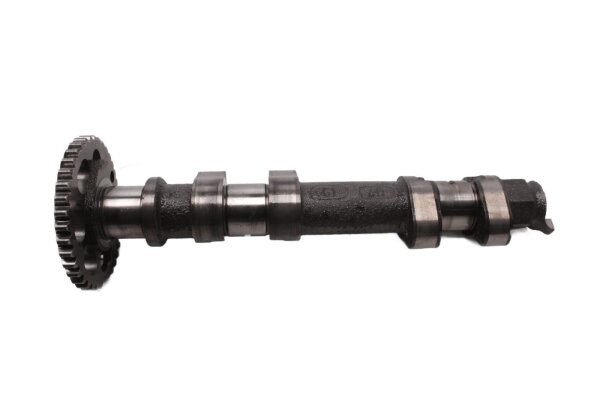 Azionamento dellalbero a camme, controllo del motore, aspirazione, scarico BMW F 800 GS E8GS 0219 08-12