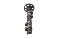 Azionamento dellalbero a camme, controllo del motore, aspirazione, scarico BMW F 800 GS E8GS 0219 08-12