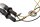 Rear LED indicators, pair, tinted, short, universal replacement Yamaha YZF R1 RN01 98-99