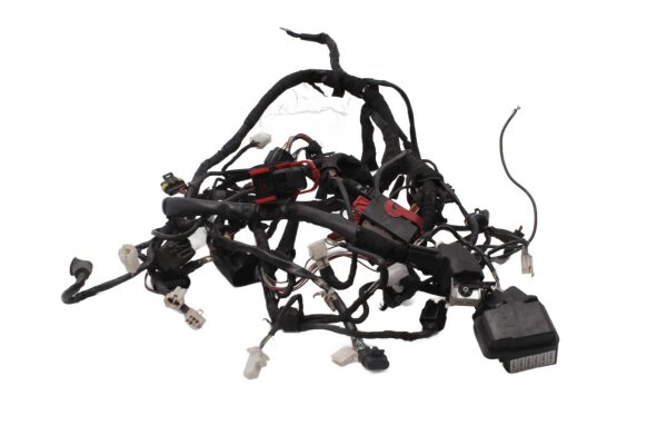 Huvudkablage, elkablage, säkring Aprilia SMV 750 Dorsoduro SM 08-17