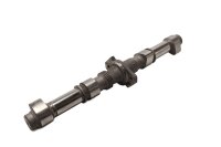 Nockenwelle Einlass Ventilsteuerung Steuerwelle Hubmotor...