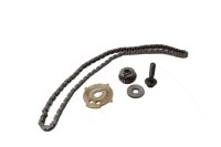 Timing chain, chain kit, drive sprocket, tensioner, gear...