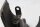 Handlebar cover, left side panel, grip protector, fairing Honda ST 1100 SC26 90-01