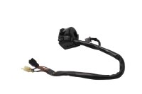 Left handlebar switch: turn signal, horn, light switch...