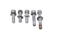 Engine mount screws, hexagon set, frame BMW R 1100 RS...