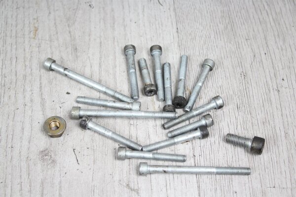 Rumpfschroeven Bout Motor BMW F 650 GS Dakar 0173 R13 00-07