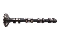 Ingranaggio di comando dellalbero a camme 461369 BMW R...