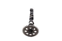 Ingranaggio di comando dellalbero a camme 461369 BMW R...