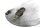 Horn, signal horn, electric, mounting bracket Honda ST 1100 SC26 90-01