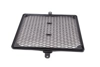 Kühlergrill Gitter Kühlerschutz Schutzgitter Triumph Scrambler 1200 XC 22-22