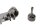 Oliepumpe drivaksel rotorhus komplet smøreoliepumpe KTM SM 950 LC8 05-08