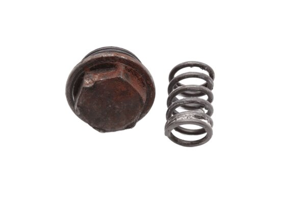 Front brake caliper bleed screw with spring BMW R 100 S 0505 247 79-80