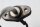 Ölstandsensor Leitung Motor Sensor Pegelgeber BMW R 1200 RT 0368 05-09