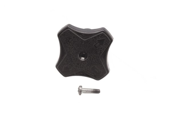Fork bridge adjustment wheel clamping screw suspension BMW R 100 S 0505 247 79-80