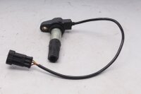 Tændspole, enkeltspole bagtil, indsprøjtningssystem Aprilia SMV 750 Dorsoduro SM 08-17