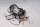 Mazos de cables, cables de encendido, fusibles, línea de alimentación BMW R 100 S 0505 247 79-80