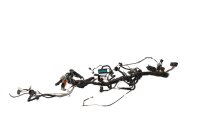 Mazo de cables, conjunto de cableado principal, conectores, fusible BMW R 1150 R R21 99-04