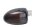 Indicatore LED sinistro, vetro fumé nero, spia luminosa 12V BMW R 1150 R R21 99-04