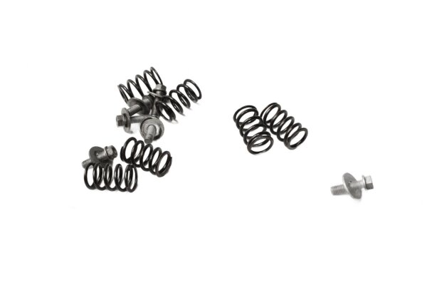 Koblingsfjedre, skruesæt, trykplade KTM SM 950 LC8 05-08