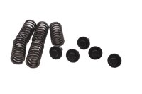 Clutch springs, screw set, clutch basket Kawasaki KLR 650...