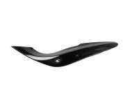 Cupolino posteriore, cupolino laterale, cupolino posteriore BMW R 1150 R R21 99-04