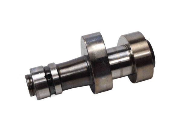 Control del tren de válvulas de admisión del árbol de levas Control del motor BMW R 1150 R R21 99-04