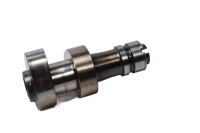 Control del tren de válvulas de admisión del árbol de levas Control del motor BMW R 1150 R R21 99-04