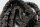 Steuerkette Kettenspanner Gleitschiene Suzuki GSX 1100 G GV74A 91-96