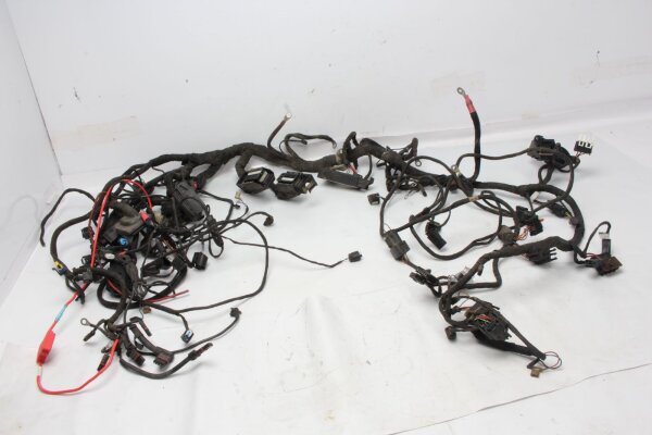 Main wiring harness, electrical system, ignition, fuses, connectors BMW R 1200 RT 0368 05-09