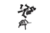 Verkleidung Clips Windschildhalter Befestigungssatz BMW R...