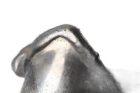 Udstødningsmanifold, udstødningsrør venstre, manifoldrør, udstødningsbøjning BMW R 1150 R R21 99-04