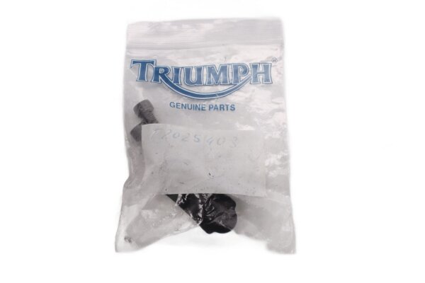 kit de montage du support de pompe de frein avant Triumph Daytona 675 D67LC/09 09-12