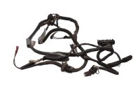 Ledningsnet bagkabel baglygtebelysning BMW R 1100 S 259 0422 R2S 98-05