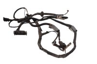 Ledningsnet bagkabel baglygtebelysning BMW R 1100 S 259 0422 R2S 98-05