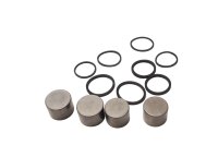 brake caliper piston sealing rings Triumph Speed Triple...