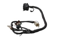 Left handlebar switch: turn signals, horn, high beam...